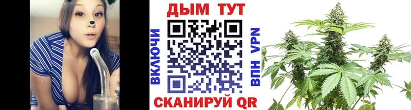 Конопля сатива  гидра ссылки  Шарья  где найти наркотики 